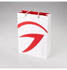 Пакет бумажный с логотипом Arlight (Arlight, -)