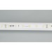 Светодиодная лента RT-20000 24V White6000 (3528, 60 LED/m, 20m) (Arlight, 4.8 Вт/м, IP20)
