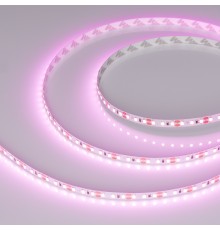 Светодиодная лента RT-A120-8mm 12V Pink (9.6 W/m, IP20, 2835, 5m) (Arlight, Открытый)