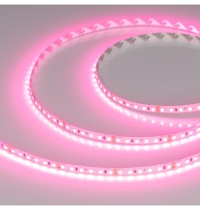 Светодиодная лента RT-A120-8mm 24V Pink (9.6 W/m, IP20, 2835, 5m) (Arlight, -)
